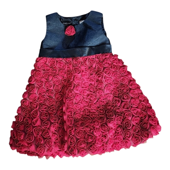 Wendy Bellissimo 18M Navy & Pink Rosette Dress Baby Girl Party Holiday - Picture 1 of 7